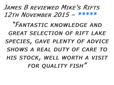 Mikes Rifts Review 18
